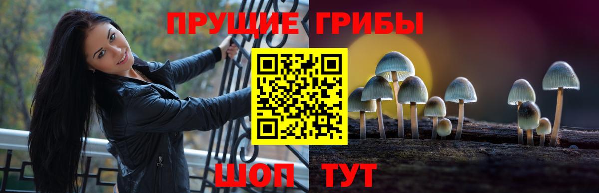 Зеленокумск  Псилоцибиновые грибы Psilocybe  Вход с VPN  Псилоцибиновые грибы ЛСД 